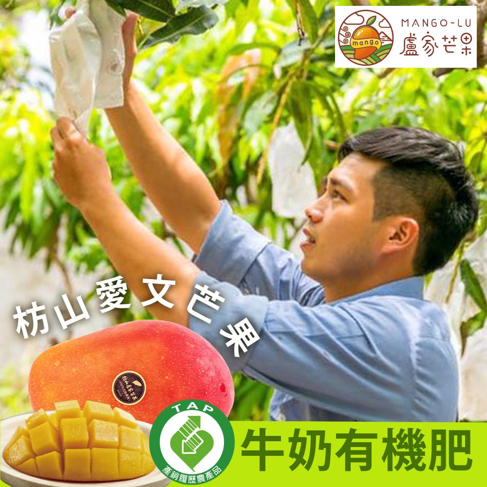  【盧家枋山芒果】銷日嚴選 寶島級 愛文芒果禮盒(2.5kg/8顆/送禮/產銷履歷認證/郵局快捷常溫配送)