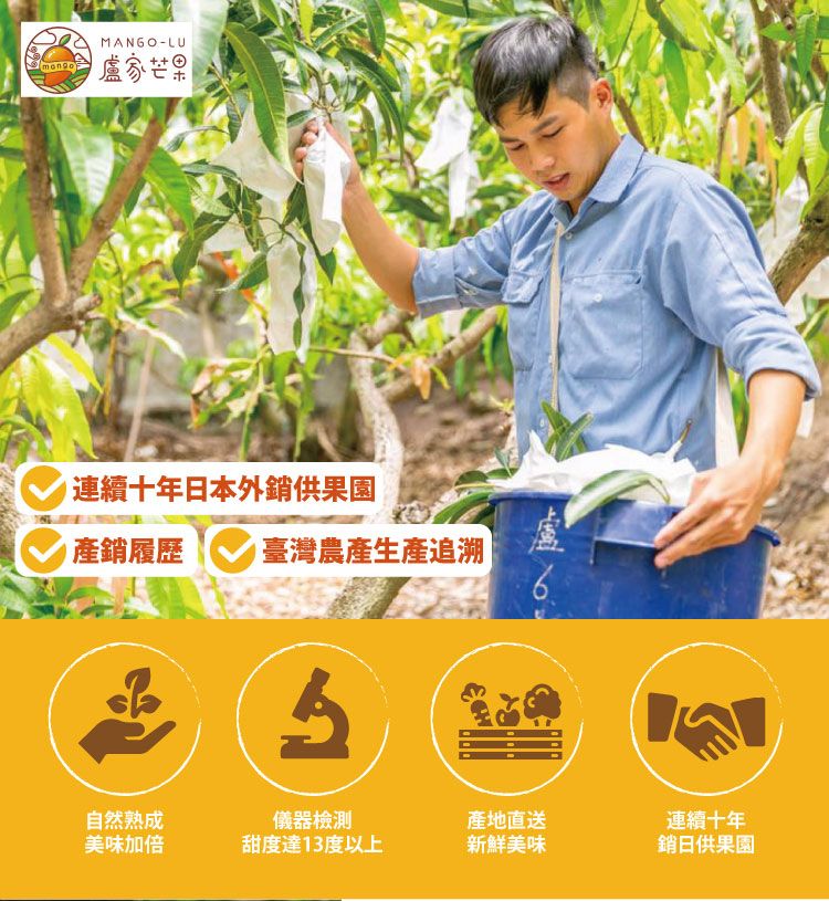 MANGO-LU盧家芒果連續十年日本外供果園產銷履歷臺灣農產生產追溯連續十年自然熟成美味加倍儀器檢測甜度達13度以上產地直送新鮮美味銷日供果園