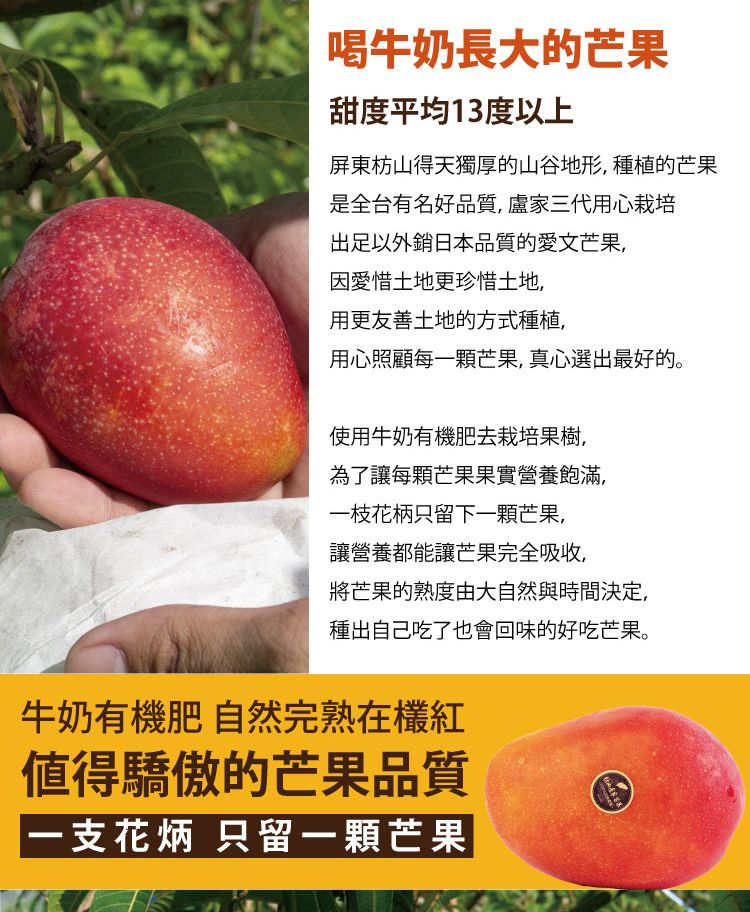 喝牛奶長大的芒果甜度平均13度以上屏東枋山得天獨厚的山谷地形 種植的芒果是全台有名好品質,盧家三代用心栽培出足以外銷日本品質的愛文芒果,因愛惜土地更珍惜土地,用更友善土地的方式種植,用心照顧每一顆芒果,真心選出最好的。使用牛奶有機肥去栽培果樹,為了讓每顆芒果果實營養飽滿,一枝花柄只留下一顆芒果,讓營養都能讓芒果完全吸收,將芒果的熟度由大自然與時間決定,種出自己吃了也會回味的好吃芒果。牛奶有機肥 自然完熟在紅值得驕傲的芒果品質一支花炳 只留一顆芒果