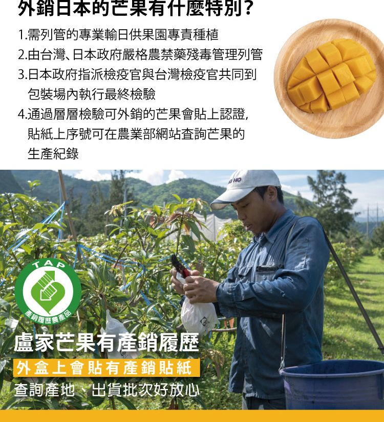 外銷日本的芒果有什麼特別?1.需列管的專業輸日供果園專責種植2.由台灣、日本政府嚴格農禁藥殘毒管理列管3.日本政府指派檢疫官與台灣檢疫官共同到包裝執行最終檢驗4.通過層層檢驗可外銷的芒果會貼上認證,貼紙上序號可在農業部網站查詢芒果的生產紀錄產銷產品盧家芒果有產銷履歷 外盒上會貼有產銷貼紙查詢產地、出貨批次好放心