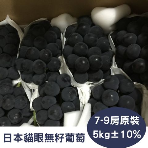 RealShop 真食材本舖 日本貓眼無籽黑葡萄 約5kg10%x1箱(7-9房裝 高檔水果送禮精品)