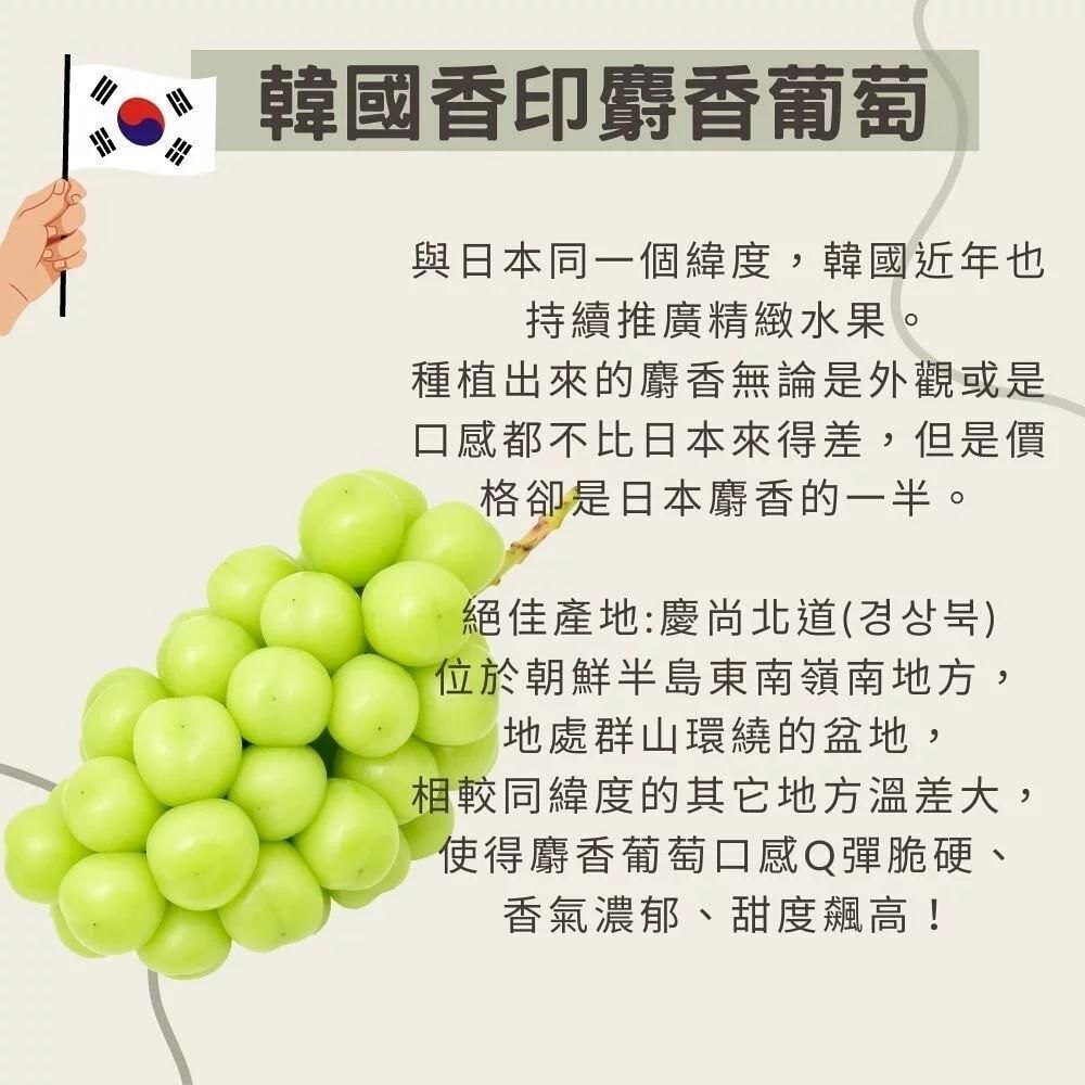 韓國香印麝香葡萄與日本同一個緯度,韓國近年也持續推廣精緻水果。種植出來的麝香無論是外觀或是口感都不比日本來得差,但是價格卻是日本麝香的一半。絕佳產地:慶尚北道(位於朝鮮半島東南嶺南地方,地處群山環繞的盆地,相較同緯度的其它地方溫差大,使得麝香葡萄口感Q彈脆硬、香氣濃郁、甜度飆高!