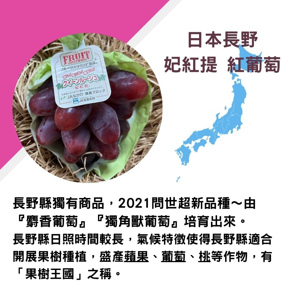 FRUTハリウッド妃紅提まれにが入る場合があります。 の 須高I JA日本長野妃紅提 紅葡萄長野縣獨有商品2021問世超新品種~由『麝香葡萄』『獨角獸葡萄』培育出來。長野縣日照時間較長,氣候特徵使得長野縣適合開展果樹種植,蘋果、葡萄、桃等作物,有「果樹王國」之稱。