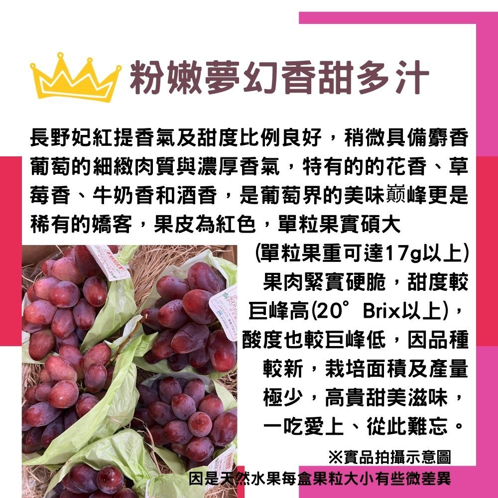 粉嫩夢幻香甜多汁長野妃紅提香氣及甜度比例良好,稍微具備麝香葡萄的細緻肉質與濃厚香氣,特有的的花香、草莓香、牛奶香和酒香,是葡萄界的美味巅峰更是稀有的嬌客,果皮為紅色,單粒果實碩大(單粒果重可達17g以上)果肉緊實硬脆,甜度較巨峰高(20°Brix以上),酸度也較巨峰低,因品種較新,栽培面積及產量極少,高貴甜美滋味,一吃愛上、從此難忘。※實品拍攝示意圖因是天然水果每盒果粒大小有些微差異