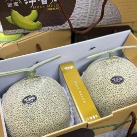 RealShop 真食材本舖 日本頂級品種 阿露斯網紋洋香瓜 7-9顆 約11kg原裝箱
