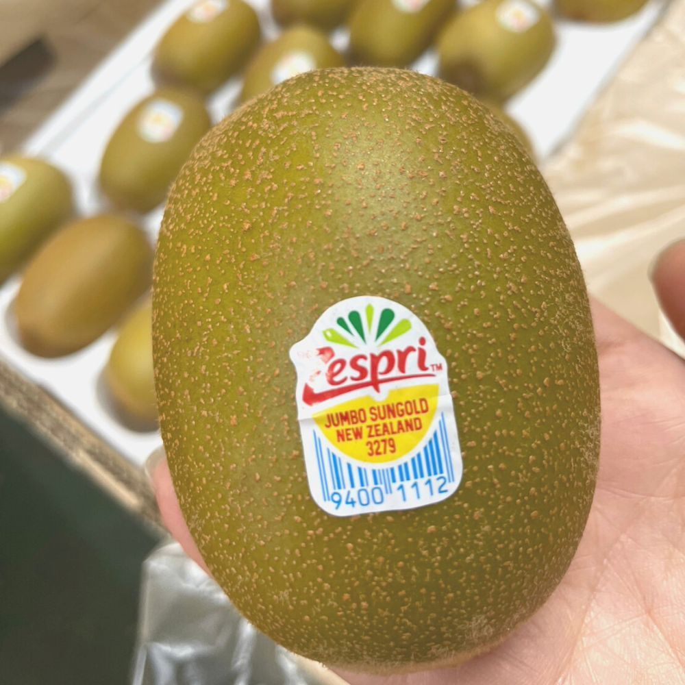 RealShop 真食材本舖 紐西蘭Zespri黃金奇異果 禮盒裝(2kg/12-15顆)
