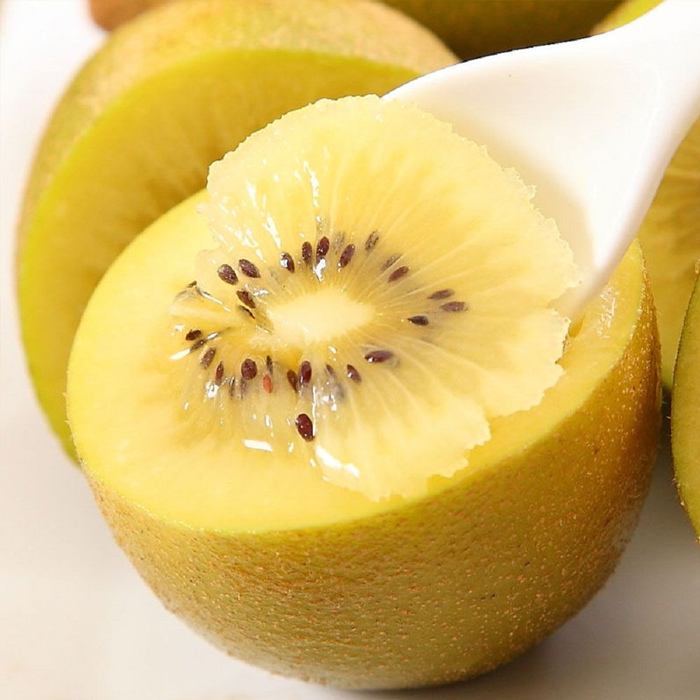  預購【Zespri】紐西蘭黃金奇異果1箱(25~27顆/3.3kg/箱)