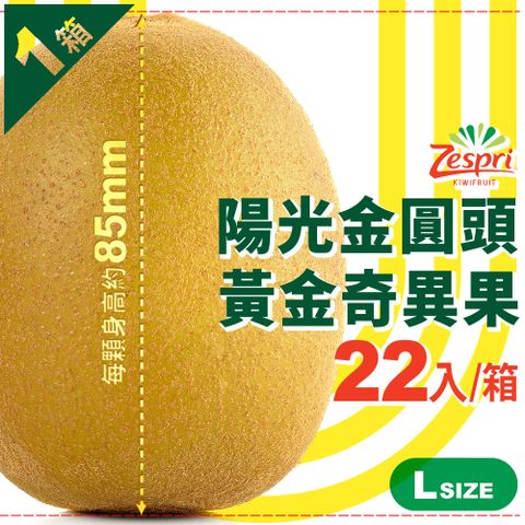 【紐西蘭Zespri】陽光金圓頭•黃金奇異果｜L大果 22入/箱(3.3kg)．1箱