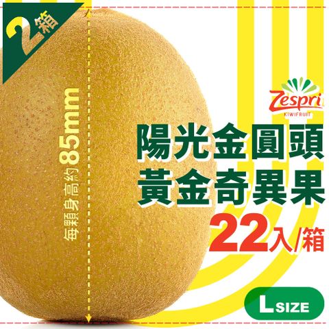 【紐西蘭Zespri】陽光金圓頭•黃金奇異果｜L大果 22入/箱(3.3kg)．2箱