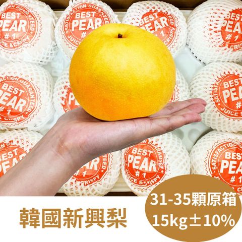 RealShop 真食材本舖 韓國新高梨 (31-35顆入/約15kg) 原裝箱