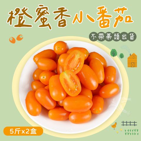 【禾鴻】橙蜜香小番茄禮盒5斤x2盒(不帶蒂頭出貨)