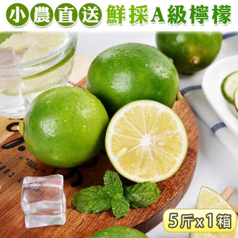 禾鴻 屏東小農直送鮮採A級綠檸檬5斤x1箱