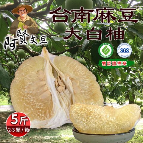 阿賢文旦 台南麻豆特選老欉大白柚5斤x1箱(2-3顆_產銷履歷+SGS檢驗_中秋後的好味道)