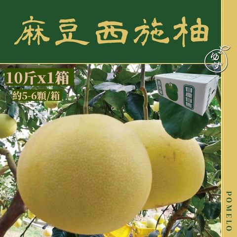 【e果園】台南麻豆特選-西施柚10台斤/箱(約5-6大顆/箱)