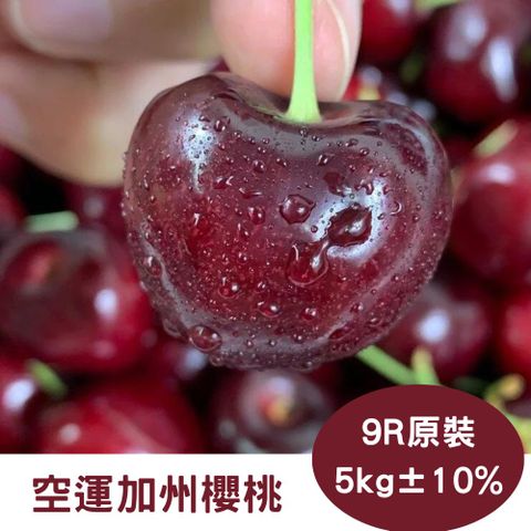 初夏水果首發【RealShop 真食材本舖】空運加州櫻桃9R 5kg±10% 原箱