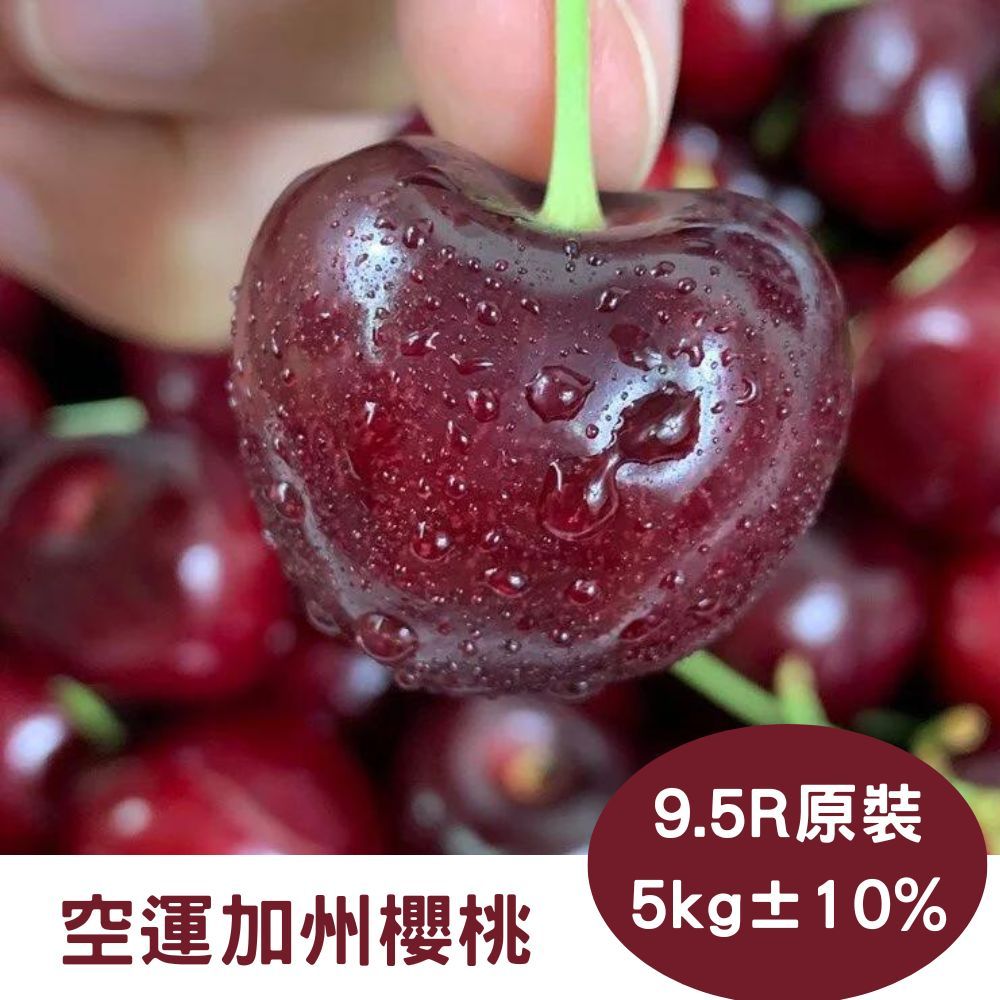 RealShop 真食材本舖 空運加州櫻桃9.5R 5kg10%原箱