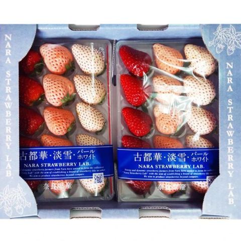 RealShop 真食材本舖 古都華淡雪珍珠白三色草莓禮盒(2P入/約550g)