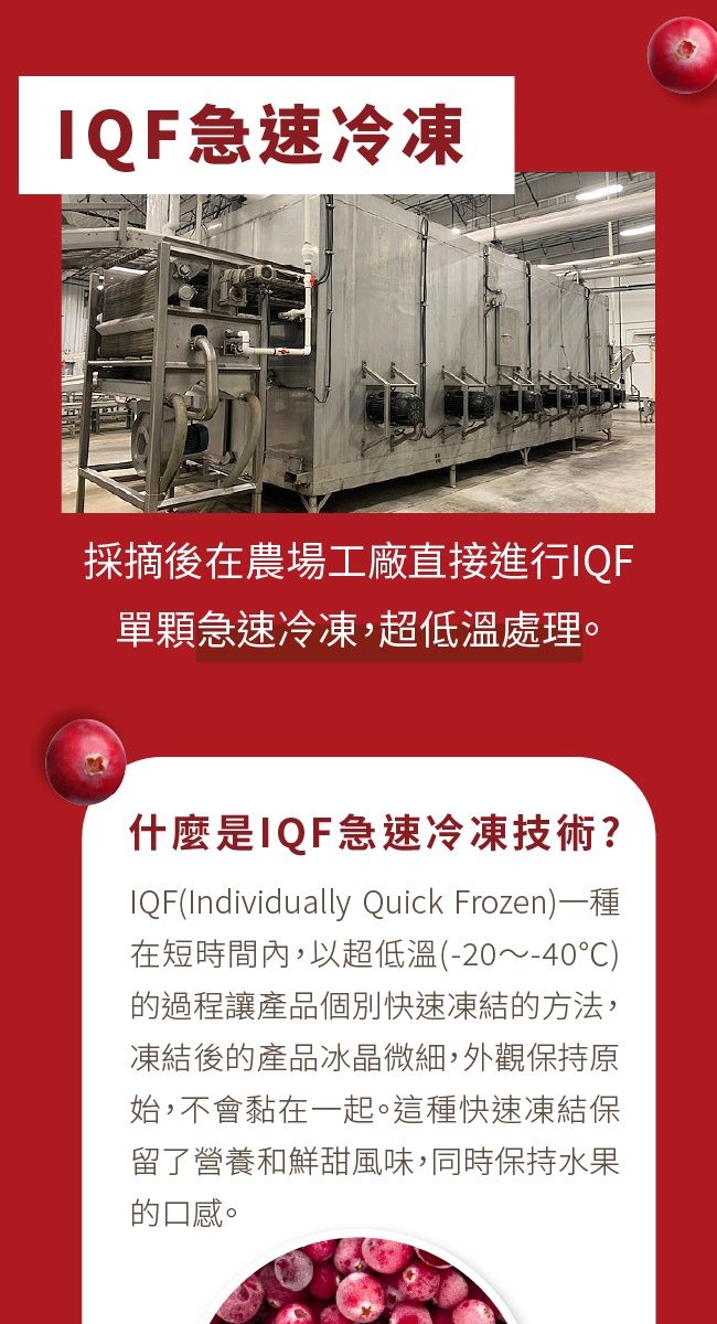 急速冷凍採摘後在農場工廠直接進行IQF單顆急速冷凍,超低溫處理。什麼是IQF急速冷凍技術?IQF(Individually Quick Frozen)一種在短時間內,以超低溫(-20~-40)的過程讓產品個別快速凍結的方法,凍結後的產品冰晶微細,外觀保持原始,不會黏在一起。這種快速凍結保留了營養和鮮甜風味,同時保持水果的口感。