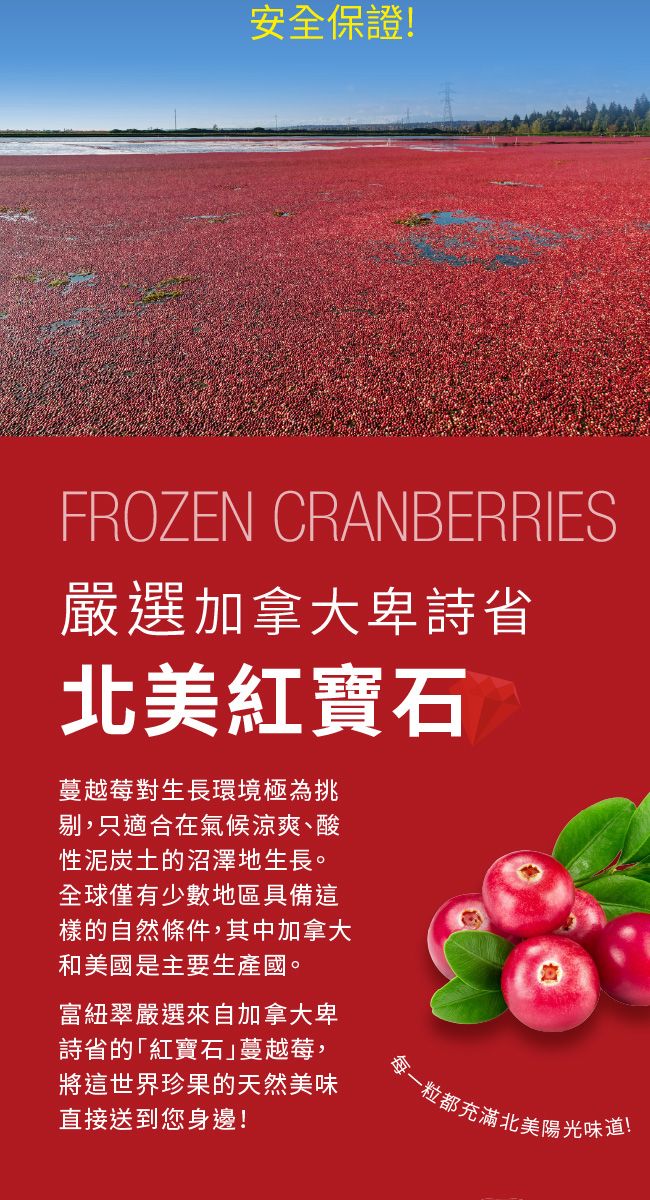 安全保證!FROZEN CRANBERRIES嚴選加拿大卑詩省北美紅寶石蔓越莓對生長環境極為挑剔,只適合在氣候涼爽酸性泥炭土的沼澤地生長。全球僅有少數地區具備這樣的自然條件,其中加拿大和美國是主要生產國。富紐翠嚴選來自加拿大卑詩省的「紅寶石」蔓越莓,將這世界珍果的天然美味直接送到您身邊!每一粒都充滿北美陽光味道!