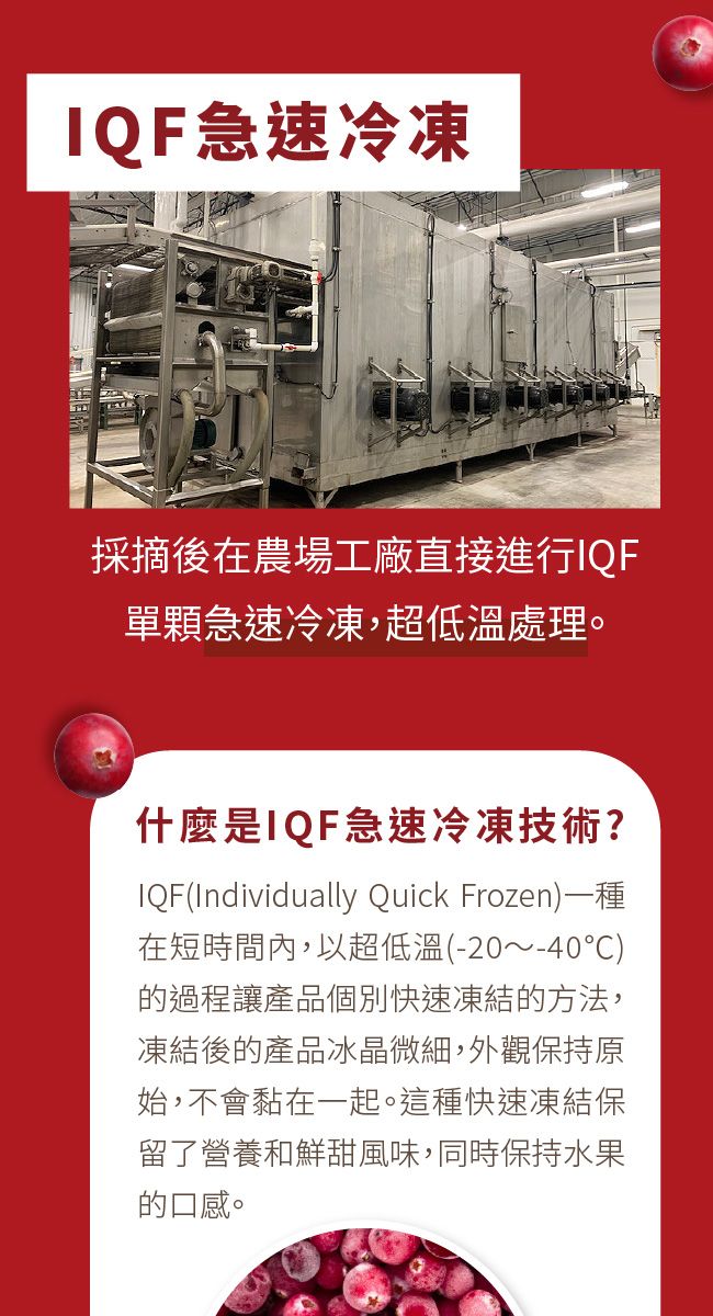 IQF急速冷凍採摘後在農場工廠直接進行IQF單顆急速冷凍,超低溫處理。什麼是IQF急速冷凍技術?IQF(Individually Quick Frozen)一種在短時間內,以超低溫(-20~-40)的過程讓產品個別快速凍結的方法,凍結後的產品冰晶微細,外觀保持原始,不會黏在一起。這種快速凍結保留了營養和鮮甜風味,同時保持水果的口感。