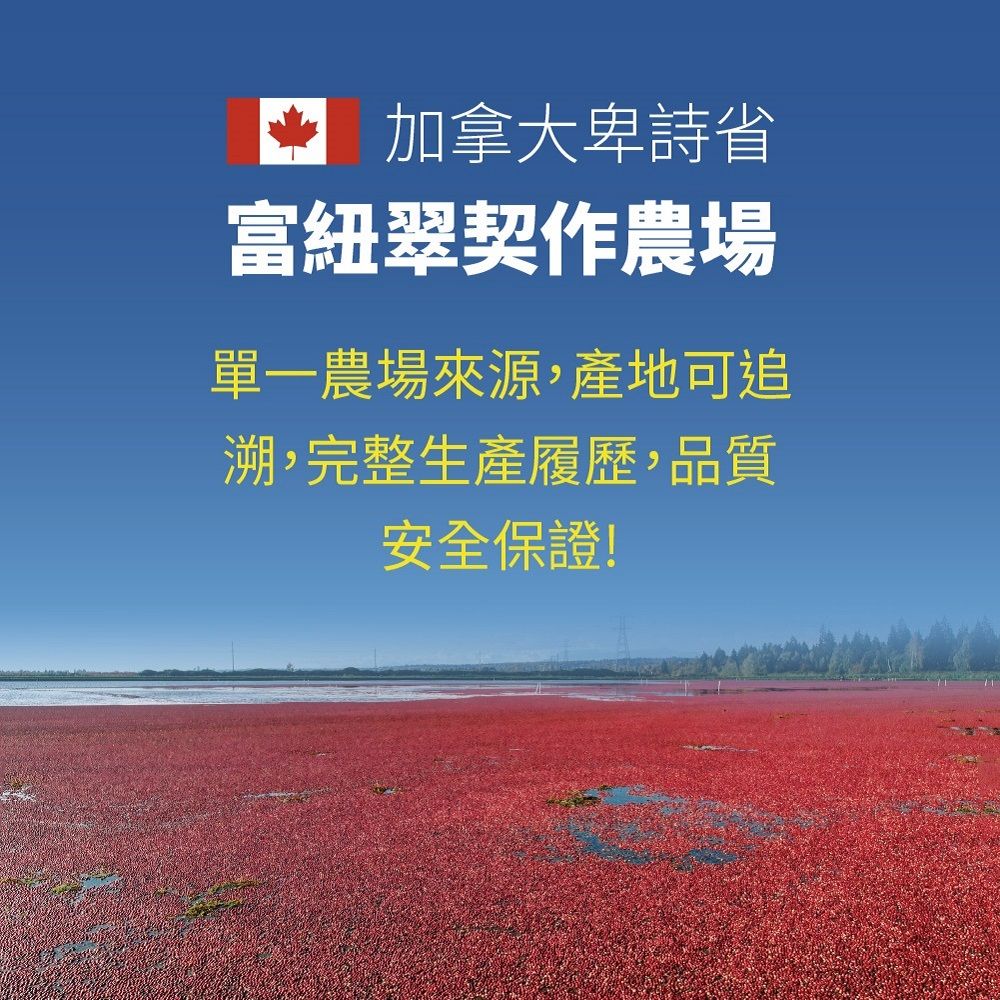 Frenature 富紐翠 加拿大A級冷凍蔓越莓40磅(18.14kg)業務用