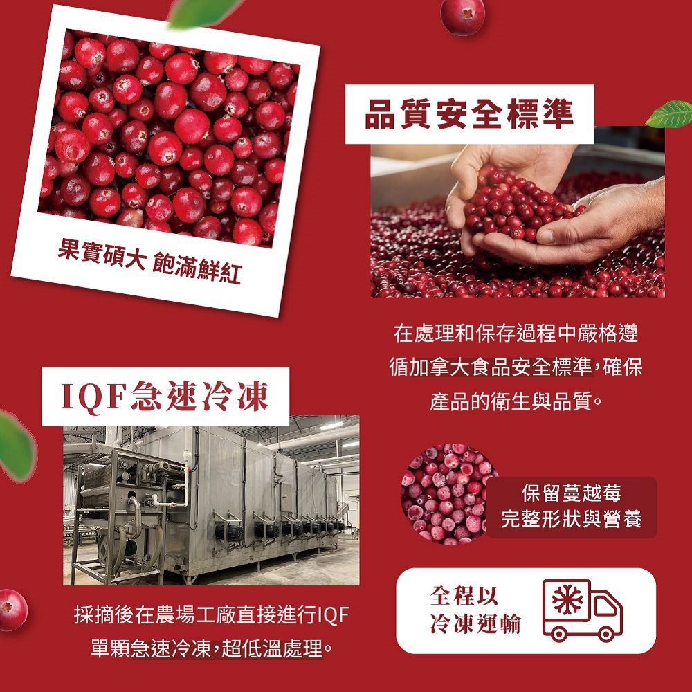 Frenature 富紐翠 加拿大A級冷凍蔓越莓40磅(18.14kg)業務用