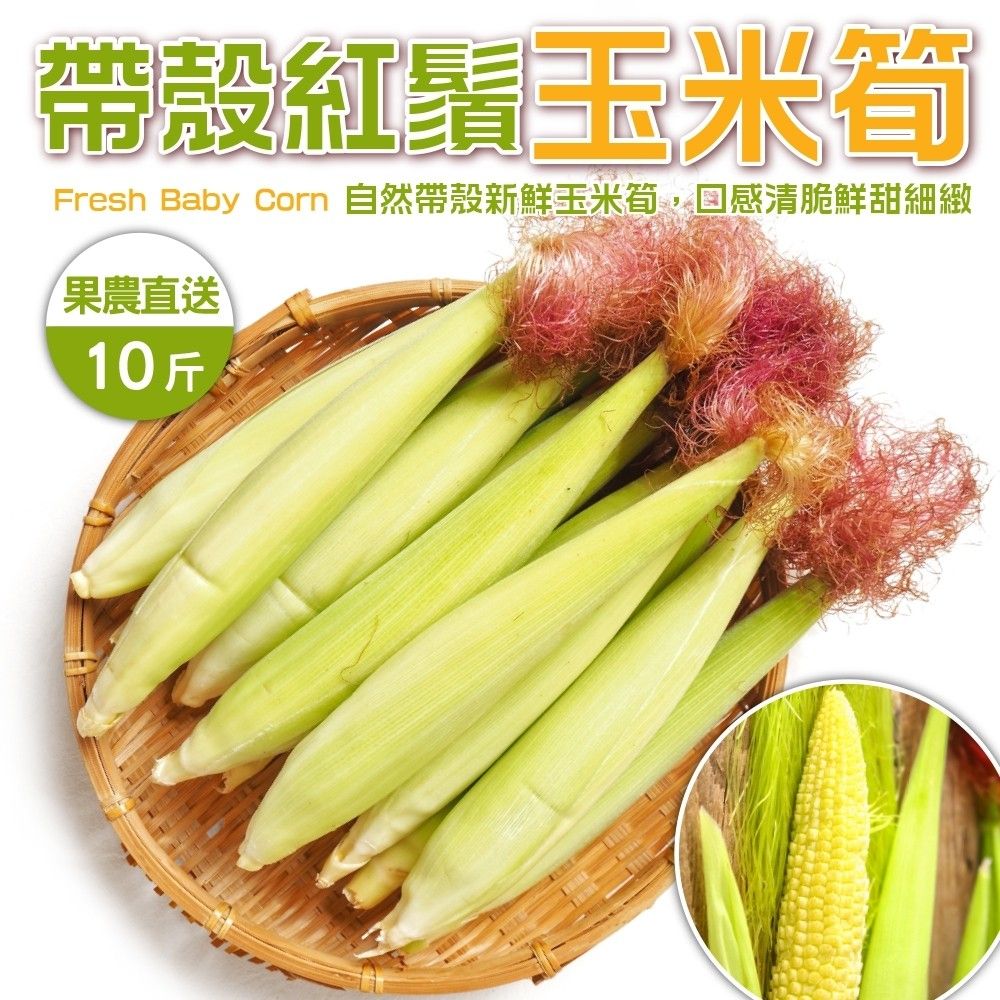 WANG蔬果 【果農直配】紅鬚玉米筍(10斤/箱)