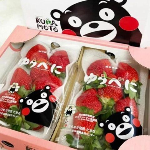 WANG蔬果 日本嚴選熊本/福岡/佐賀草莓x2盒(每盒2P/約550g)