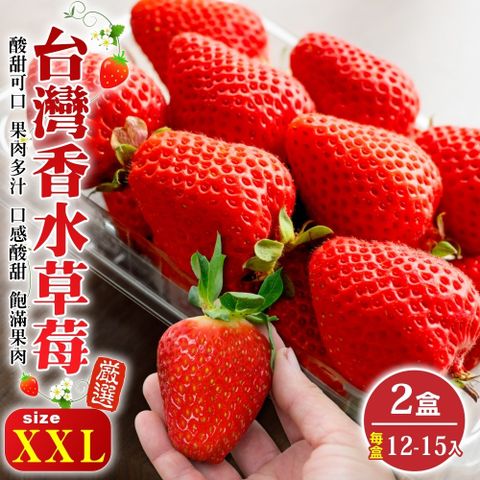 WANG蔬果 台灣嚴選香水草莓XXL號(2盒_12-15入/400g/盒)