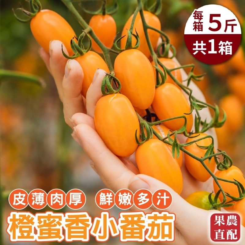 WANG蔬果 台灣嚴選橙蜜香番茄(5斤/箱)