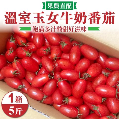 【果農直配】溫室玉女牛奶番茄(5斤/盒)