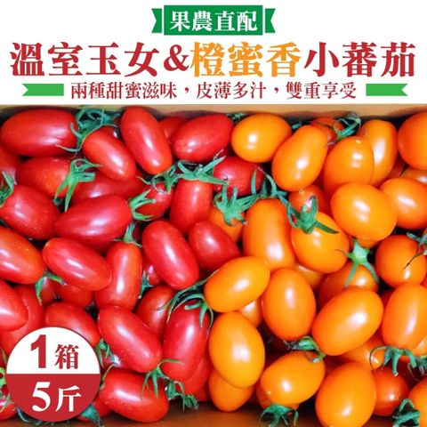【果農直配】溫室玉女番茄VS橙蜜香小番茄(共5斤/箱)