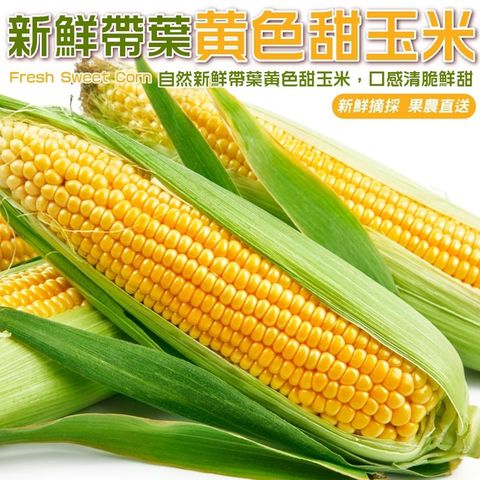 WANG蔬果 【果農直配】新鮮帶葉黃色甜玉米(10斤/箱)