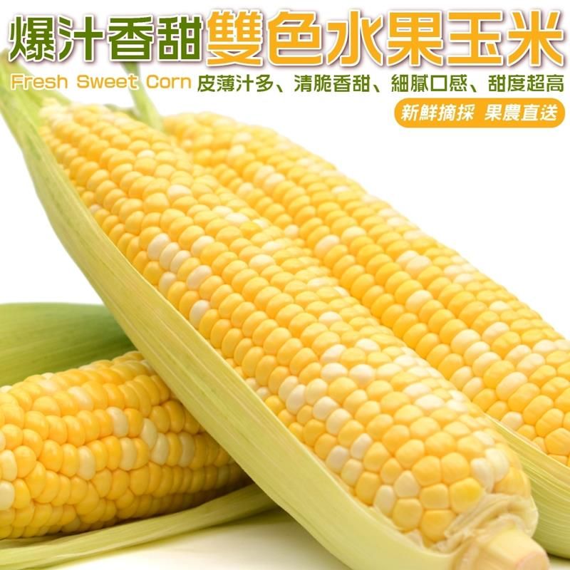 WANG蔬果 【果農直配】雙色水果玉米(10斤/箱)