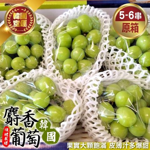 WANG蔬果 韓國空運麝香葡萄(原裝箱5-6串/約4kg)