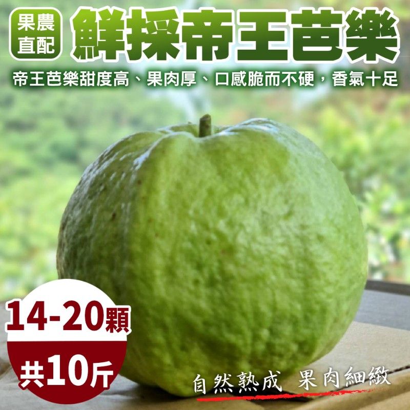 WANG蔬果 【果農直配】台灣嚴選帝王芭樂(10斤/箱)