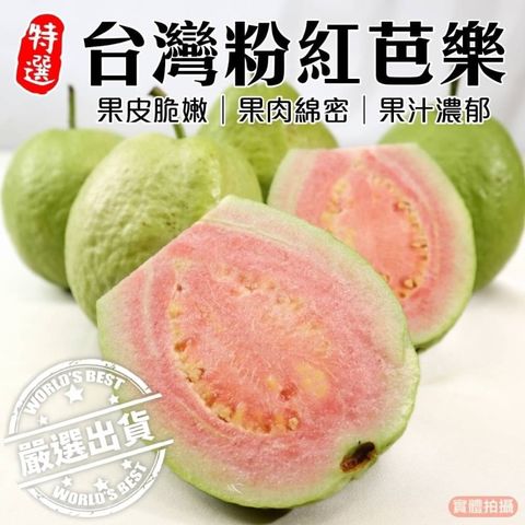【果農直配】彰化嚴選粉紅蜜芭樂(5斤/箱)