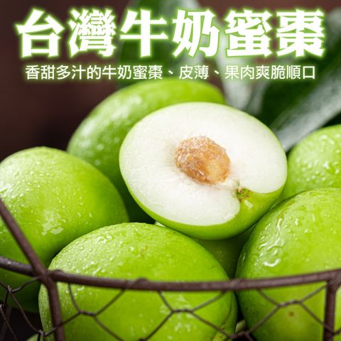 【WANG 蔬果】燕巢區牛奶蜜棗(5斤/箱)