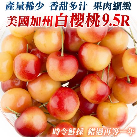 【WANG 蔬果】美國空運9.5R白櫻桃(1.5Kg禮盒)