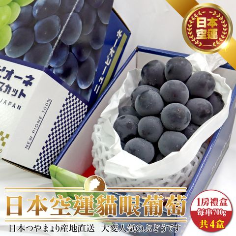 【WANG蔬果】日本空運貓眼葡萄禮盒(4串_700g/串)