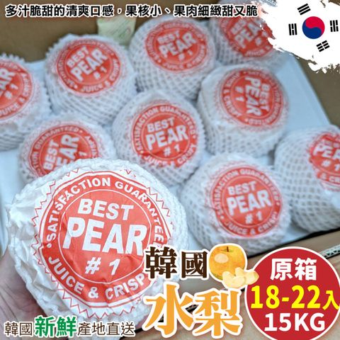 WANG蔬果 韓國水梨巨無霸(原裝18-22入/約15kg)