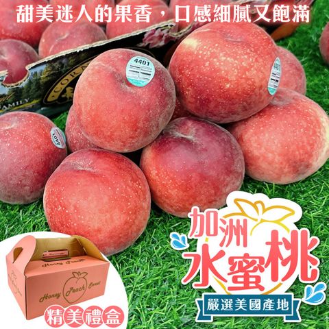 WANG蔬果 空運美國加州水蜜桃(8-10顆/約2kg)