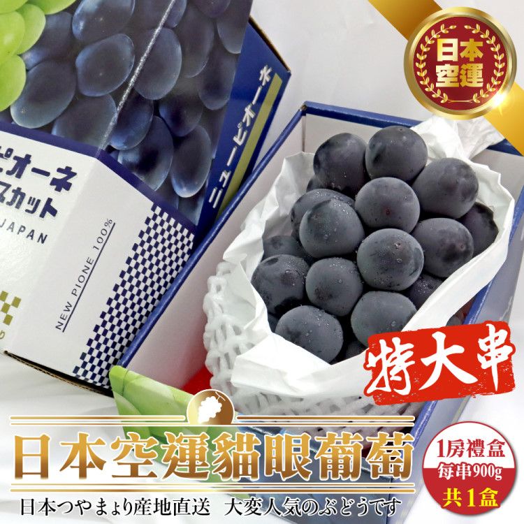WANG蔬果 日本空運巨峰貓眼葡萄特大串(1房禮盒_900g/串)