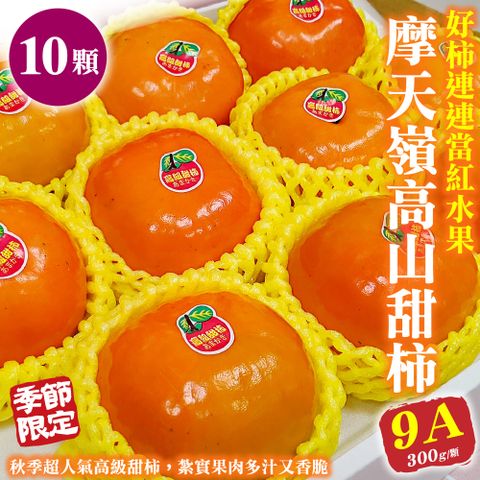 WANG蔬果 摩天嶺高山特大顆9A甜柿(10入禮盒_300g/顆)