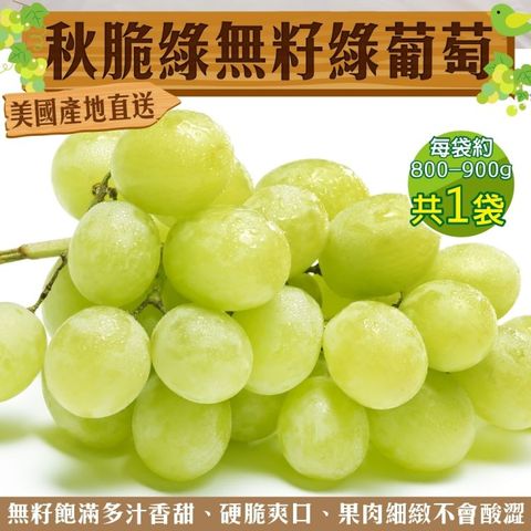 WANG蔬果 美國秋脆綠無籽綠葡萄 (1袋_800-900g/袋)