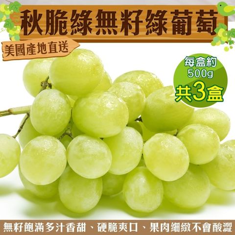 WANG蔬果 美國秋脆綠無籽綠葡萄 (3盒_500g/盒)