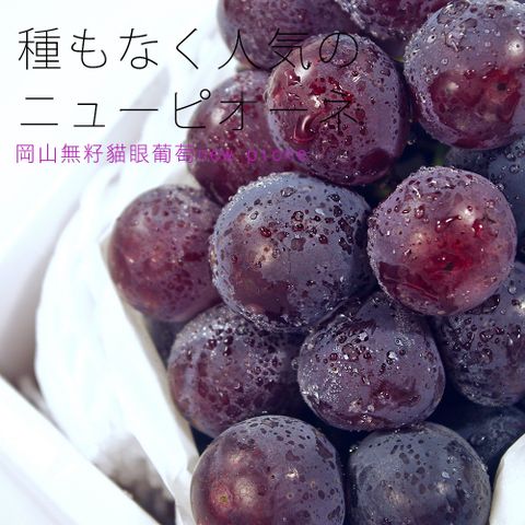 【鮮果日誌】日本岡山縣 貓眼葡萄 (new pione) / 一房