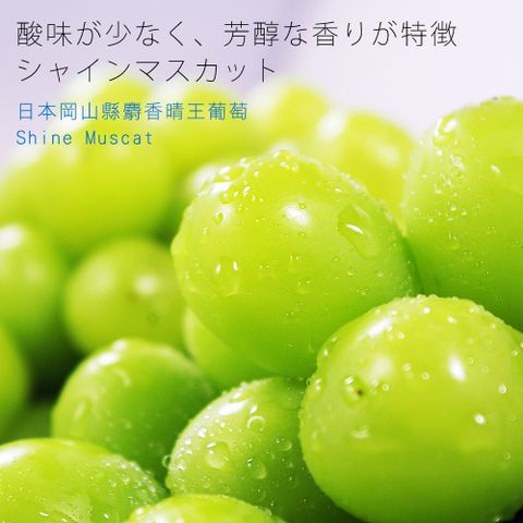 【鮮果日誌】日本岡山縣麝香晴王葡萄(Shine Muscat) / 一房