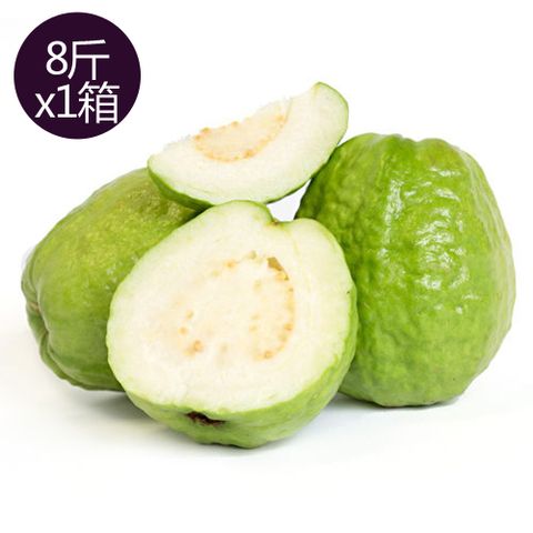 果之家 高雄燕巢牛奶芭樂珍珠芭樂8台斤(1箱/約9-13顆)