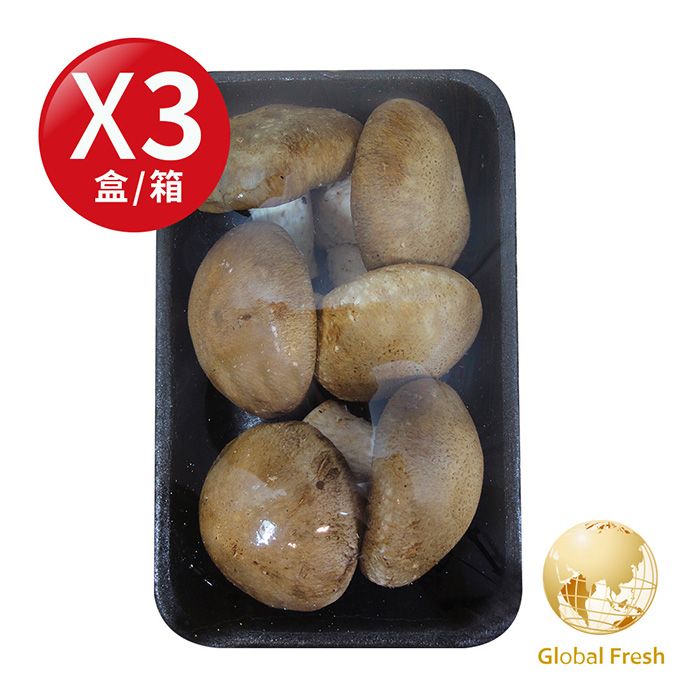 X3盒/箱Global Fresh